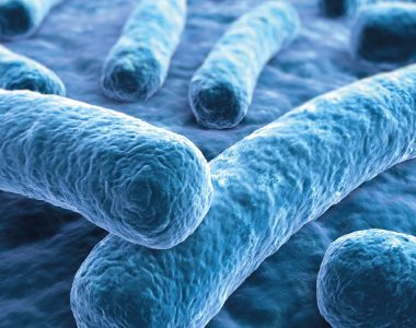 Bệnh Legionnaires – Kiểm Soát Vi Khuẩn Legionella Trong Hệ Thống Nước